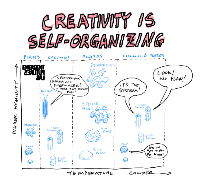 Environmental Creativity How Snowflakes Form Emergent Futures Lab